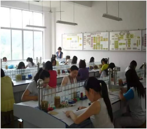 交通工程管理 连接未来与效率的专业选择